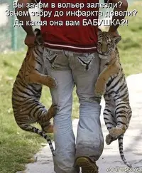 622745B0-09CD-489C-B9D5-61CC16E3C1EF.webp