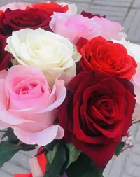 75BD1D7F-0B31-42A9-8E4E-45E6948ED1D8.webp