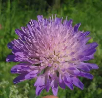 _20160624_062505.webp