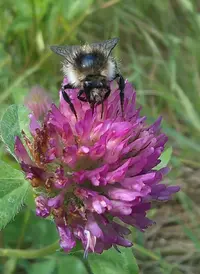 _20160625_083209.webp