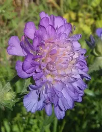_20160630_071451.webp