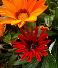 _20161004_204928.webp