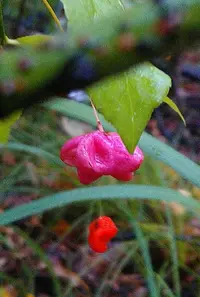 _20170629_194943.webp