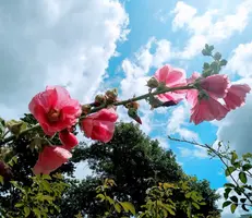 IMG_20190710_135455-min (1).webp