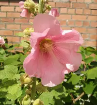 IMG_20190710_135311.webp