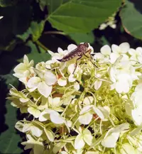 IMG_20190710_134940.webp
