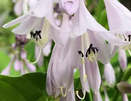 IMG_20190710_142022.webp