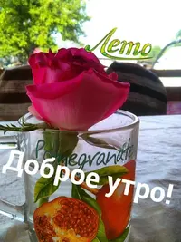 tmp-cam-960711413.webp