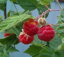 _20160808_170124.webp