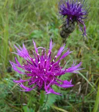 _20160915_203111.webp