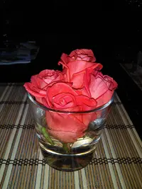 IMG-20160211-WA0007.webp