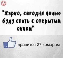 UID8028_1562785794_48.webp