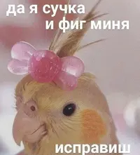 DF6A077D-3CEB-468F-B7D1-497588771772.webp