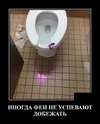 18563EBA-4B67-49FB-97C3-FFC867E71D68.webp