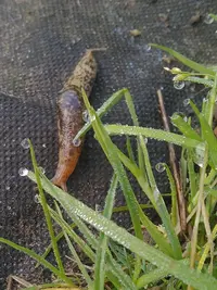 IMG_20150921_084432-01.webp