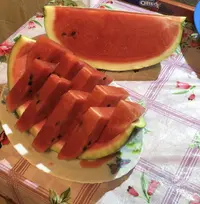 B3E77768-138E-4504-9EB4-7A04F3CE93B3.webp