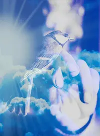 Adobe_20190710_161504.webp