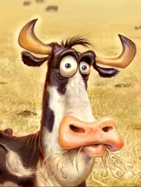 9D8DD526-B249-4D45-AD6B-C57EC7F7B69A.webp