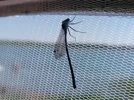 PhotoPictureResizer_190713_130758730_crop_1911x1433-800x600.webp