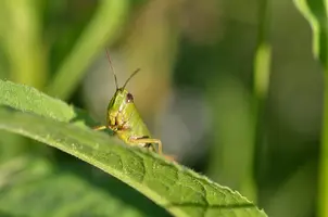 _DSC4189.webp