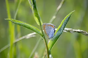 _DSC4165.webp