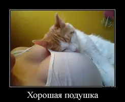 DQpaP6ZECPY.webp