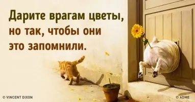 EF7A90E2-978E-46B1-B4DB-5E99888F710B.webp