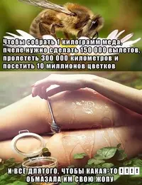 original.webp