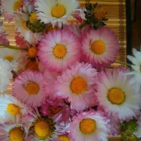 tmp-cam-892204226.webp
