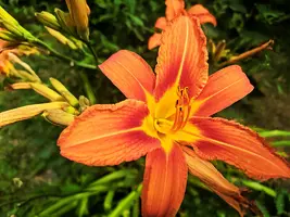 IMG_20190717_145630.webp