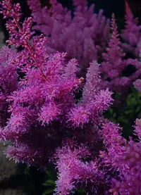 D9D91FE3-81AE-4B2F-9DF5-5F728202AA16.webp