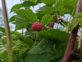 IMG_20190719_185457-800x600.webp
