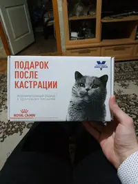 OOkW--m0Sik.webp