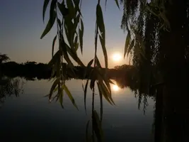 IMG_20190719_194542-3456x2592-2592x1944.webp