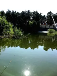 IMG_20190721_144259-1296x1728.webp
