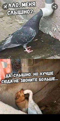 Screenshot_20190326-175201.webp