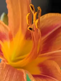 IMG_20190721_232007.webp