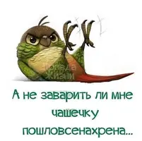 13634F17-DAE8-44EF-A48A-108BF72FA55D.webp