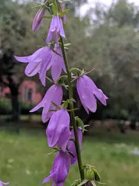 IMG_20190722_100709.webp