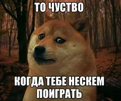 47BB90B3-4178-4764-9A41-ED79A52EDA40.webp