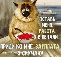 s1200.webp