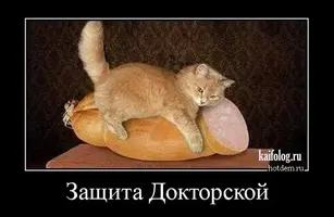 F848E9EE-E934-40A1-92D9-360C4A95B502.webp