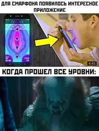 13272663.webp