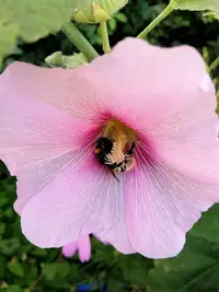 IMG_20190724_212446-1296x1728.webp