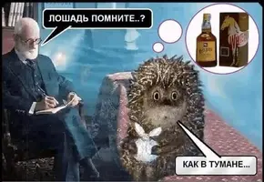 1F52D76D-218D-485B-823D-F59188A5056E.webp