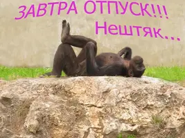 F4A95816-12F8-429C-A64B-19AA99B0947F.webp