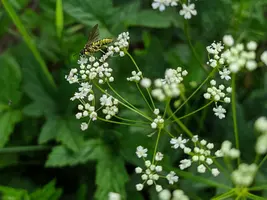 IMG_20190727_173855.webp