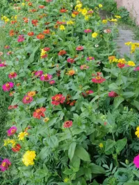 IMG_20190725_083152-2592x3456-1944x2592.webp