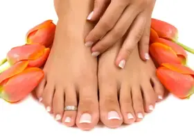zvzx031.webp