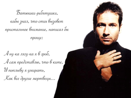 Веня про стих.webp